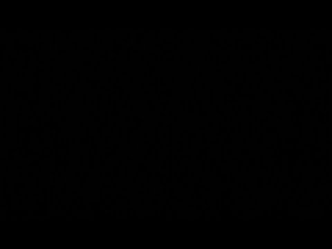 MC Tali Shy FX - kings of the jungle 5//roni size