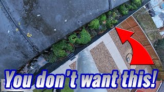 Preview of Gutter Cleaning Moss - You don't want this!.