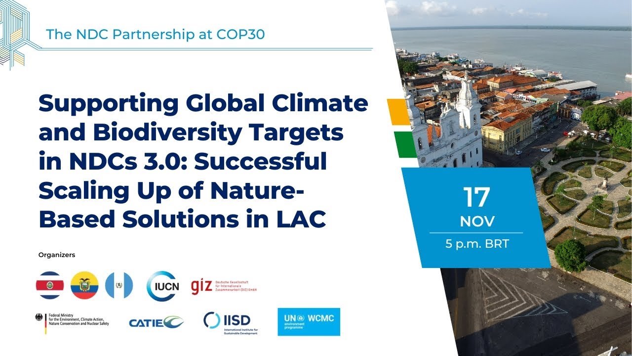 Supporting Global Climate and Biodiversity Targets in NDCs 3.0