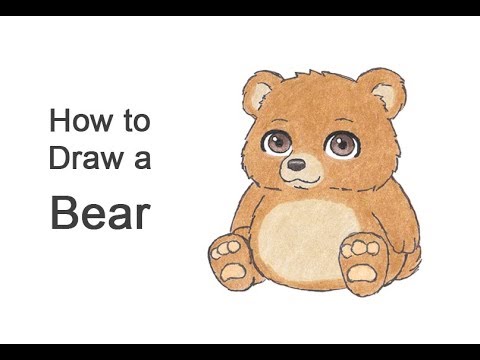 How to Draw a Bear Sitting (Cartoon)
