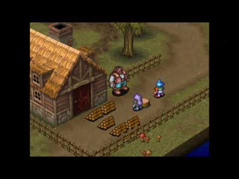 Cedar Woods/Falling Green [Breath Of Fire III]~Extended