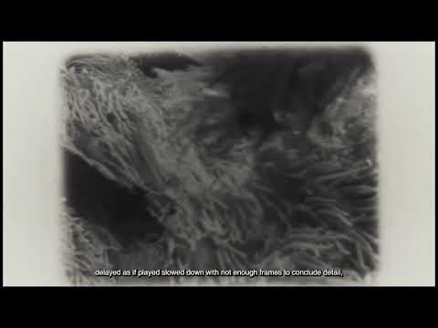 The Projectionist (2025). monochrome super 8 video and text with sound. 00.03.44.