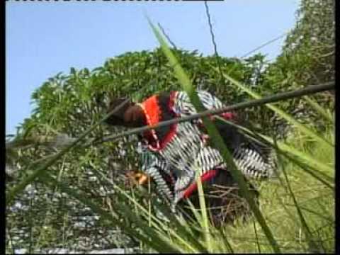 Prince Afo Akom - Femme Rural