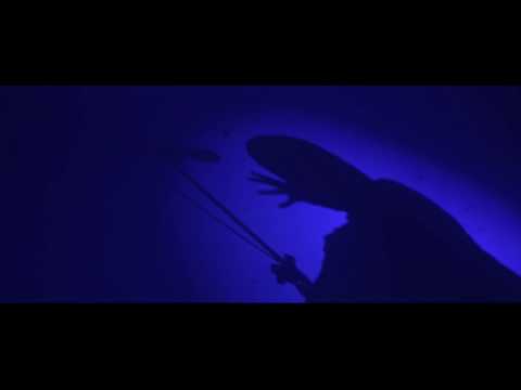 Hinol Polska Wersja - Fatum prod.PSR Scratch DJ Lem