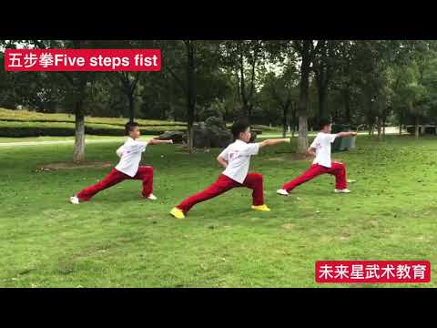 《五步拳》Five steps fist 中英文版，冷先锋 编著