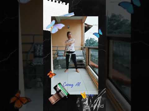 Vinho Novo I video