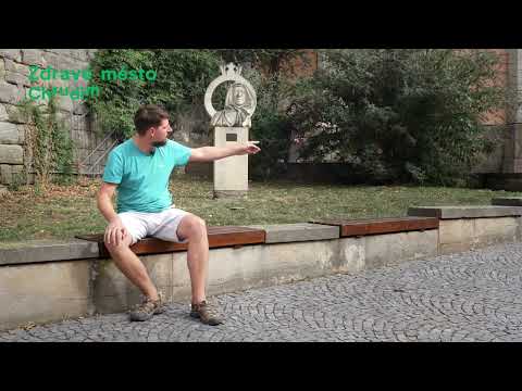 Tvořím Chrudim - Trvalkové záhony na Žižkově náměstí