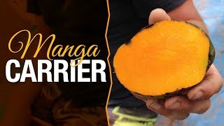 Miniatura do vídeo