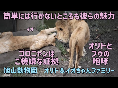 ヨーロッパの動物園のリスト - 定義
