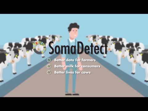 How Does SomaDetect Work?