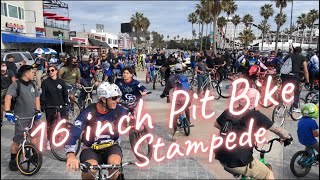 BMX - Pit Bike Stampede Ride out San Diego 1/31/21