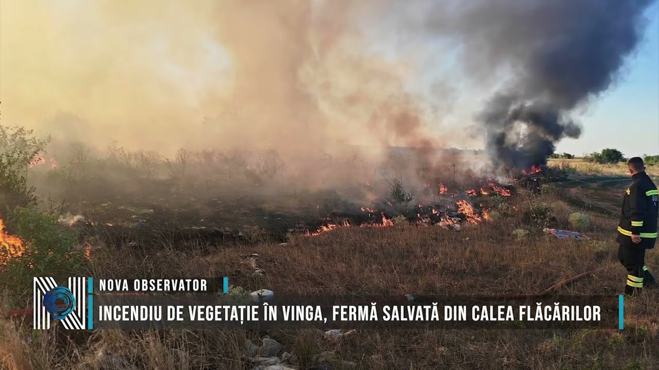 Incendiu de vegetație în Vinga, fermă salvată din calea flăcărilor