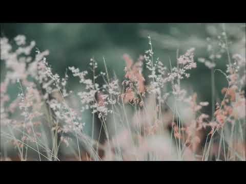 Yann Tiersen - Summer 78 ( 1 hour version )