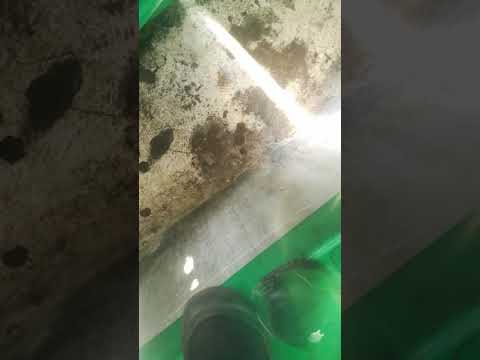 Nuovo Coro "Siam la Curva Nord Milano" - Curva Nord Milano Inter - Cagliari 2020.01.26