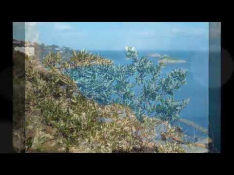 Torquay, Devon, Rock End Walk, April 2015