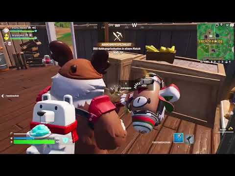 Die Weihnachtschallenge