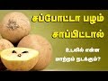 Sapota Fruit Health Benefits Chikoo Fruit Tamil Health Tips