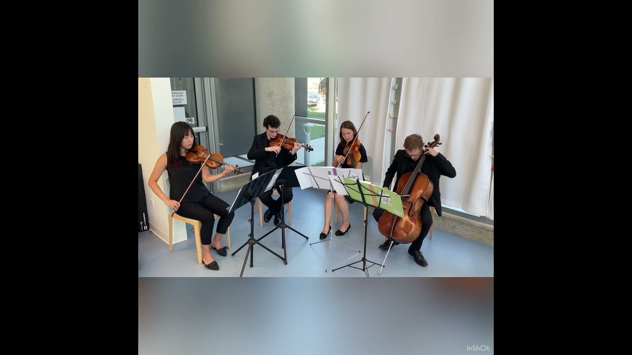 Promotional video thumbnail 8 for Windy City Strings