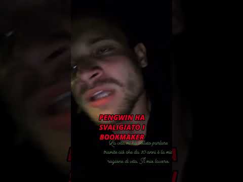 Il migliore #pengwin #tipster