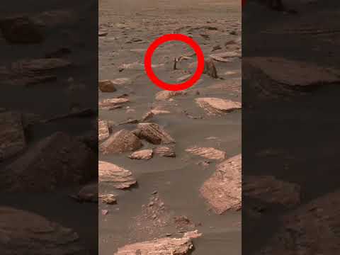 NASA - MARS - Curiosity - This image was taken by Mars. rover Curiosity #Curiosity