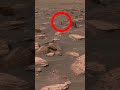 NASA MARS Curiosity This Image Was Taken By Mars Rover Curiosity Curiosity