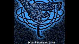 Dj Junk-Damaged Brain