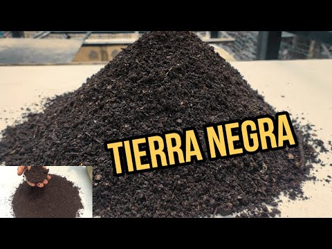 TIERRA NEGRA HAZLA TU MISMO EN CASA  ES FACIL AHORRATE MUCHO DINERO// TUTORIAL,  PASO A PASO