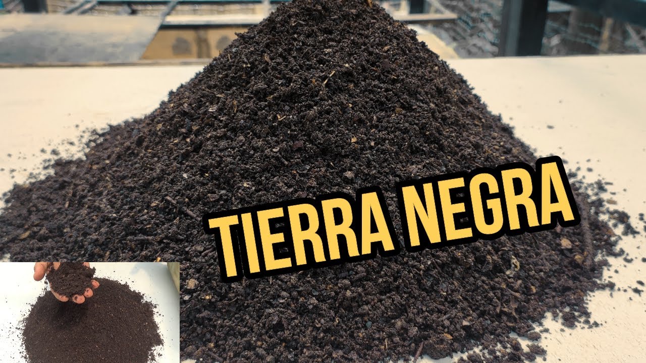 TIERRA NEGRA HAZLA TU MISMO EN CASA  ES FACIL AHORRATE MUCHO DINERO// TUTORIAL,  PASO A PASO