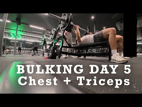 Chest and triceps! - Winter Bulk Day 5