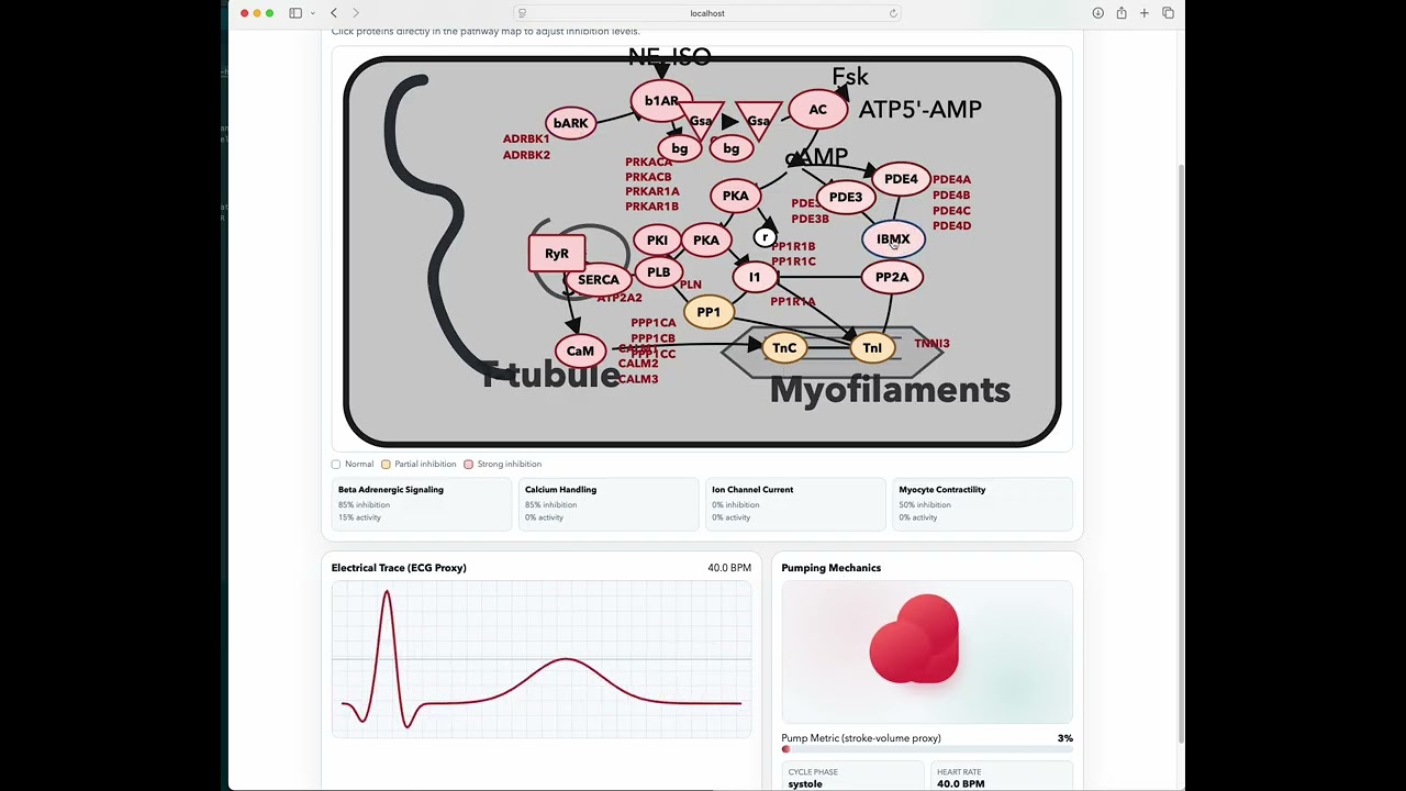 CardioTwin project preview