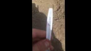 Patriot Supply Seed Testing