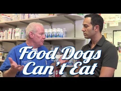 Feeding Dogs Table Scraps - Ask the Expert | Dr David Randall