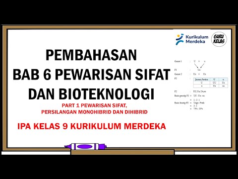 BAB 6 PEWARISAN SIFAT DAN BIOTEKNOLOGI Part 1 (IPA Kelas 9 Kurikulum Merdeka)