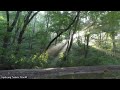 Nature WhatsApp Status With Hindi Song Best Nature Whatsapp Status With Hindi Song Shorts