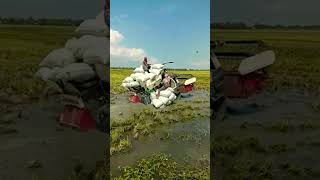 Download lagu kombi sawah maxxi bimo full muatan mp3 Download lagu kombi sawah maxxi bimo full muatan mp3