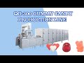 QG-300 Gummy Candy Production Line, Fully Vitamin  funcational Jelly candy making Machine line
