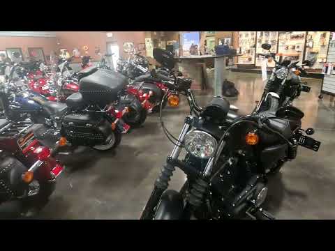 2022 Harley-Davidson Iron 883™ in Mauston, Wisconsin - Video 1