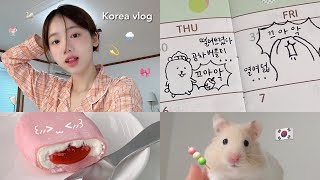 • Korea vlog • Một ngày sống tự lập ở Hàn: đi học, làm việc, nấu ăn, thử rượu..? ೀ⋆