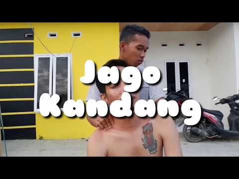 preman-jago-kandang