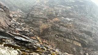 冷氣團加華南雲雨區東移 玉山下冰雹