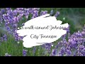 A Walk Around Johnson City TN April 2024