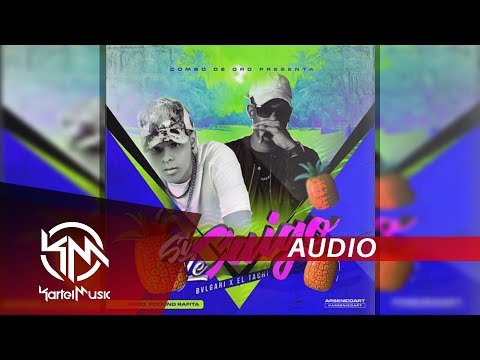 Bvlgarich Ft El Tachi - Si Le Caigo | AUDIO