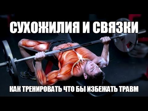 Лечение позвоночника сабельником настойка Как сохранить коленные суставы