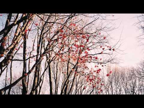 JOÃO TAMURA & HOLLY _ SALTO