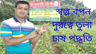 সল্প বপন দুরত্বে তুলাচাষ পদ্ধতি