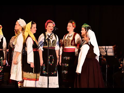 SPLET VOJVOĐANSKIH PESAMA - Grupa pevača, Balkanski mozaik