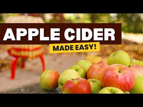 How to Make Apple Cider (Quick and Easy)