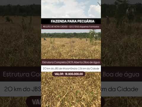 Fazenda para pecuária em Nova Crixás GO - 124,5 Alqueires | Whatsapp 62 99373-6407