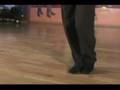 Dario's Tango Guide 1 The Walk and The Basic Sequence
