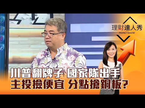 【理財達人秀】川普翻牌子 國家隊出手 主投撿便宜 分點搶銅板？｜李兆華、權證小哥 2025.07.09 part5